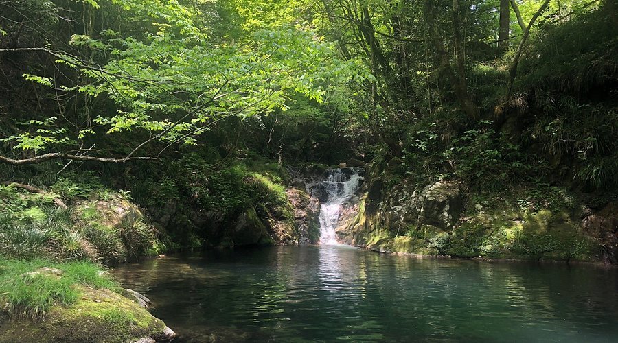 🍁 하나누키 계곡(하나누키케이코쿠) 이미지 5